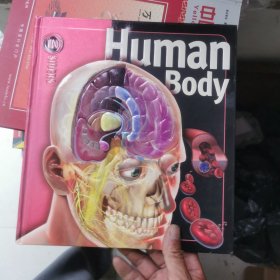 Human Body（精装 英文原版）