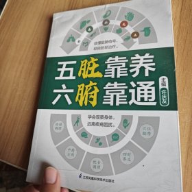 五脏靠养 六腑靠通