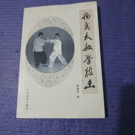 杨式太极拳技击