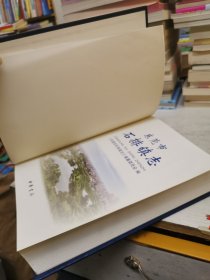 东莞市石排镇志