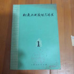 彻底批判斯坦尼体系