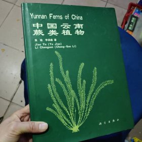 中国云南蕨类植物