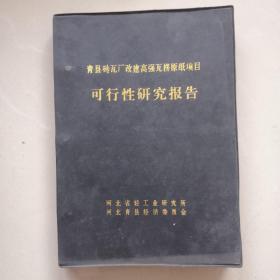 青县砖瓦厂改键高强瓦楞原纸项目可行性研究报告