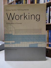 原版建筑图书TEN Arquitectos Working 20 Projects in process