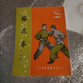 梅花拳