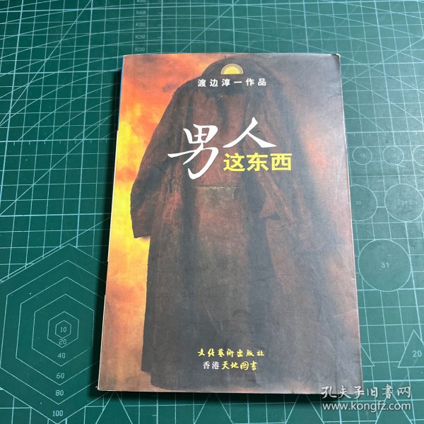 男人这东西：渡边淳一作品