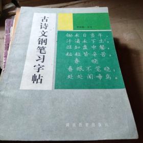 5000常用汉字钢笔三体字帖