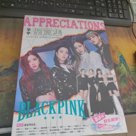 BLACKPINK 豪华鉴赏集 盒装