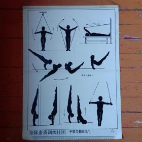 中、小学生70~80年代《身体素质训练挂图——手臂力量练习:六——推撑力量练习。
        
       挂图结构尺寸:长72,6✘宽52,6厘米。
