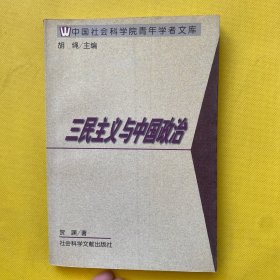 三民主义与中国政治——中国社会科学院青年学者文库/文史系列