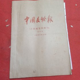 中国文物报(含收藏鉴赏周刊)合订本