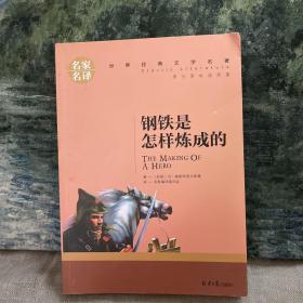 钢铁是怎样炼成的 名家名译世界经典文学名著 原汁原味读原著