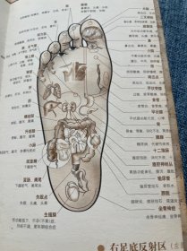 手脚按摩诊病大全