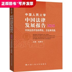 中国人民大学中国法律发展报告2020——中国法治评估的理论、方法和实践