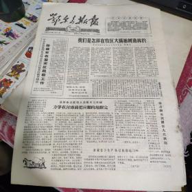 鄂尔多斯报1965/10/23