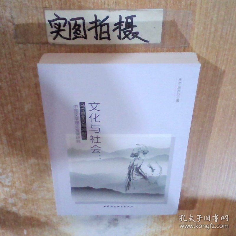 文化与社会 马克思主义与20世纪中国文学理论发展研究