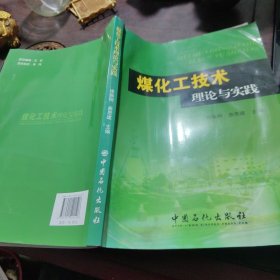 煤化工技术理论与实践