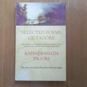 selected poems of tagore