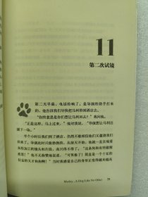 马利：一只与众不同的狗