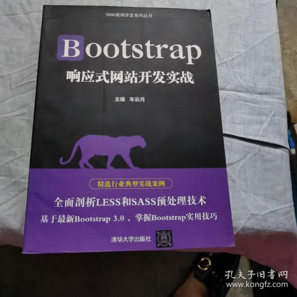 Bootstrap响应式网站开发实战/Web前端开发系列丛书