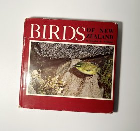 BIRDS OF NEW ZEALAND 新西兰鸟类