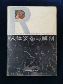 【精装】人体姿态与解剖【16开。有彩页。】