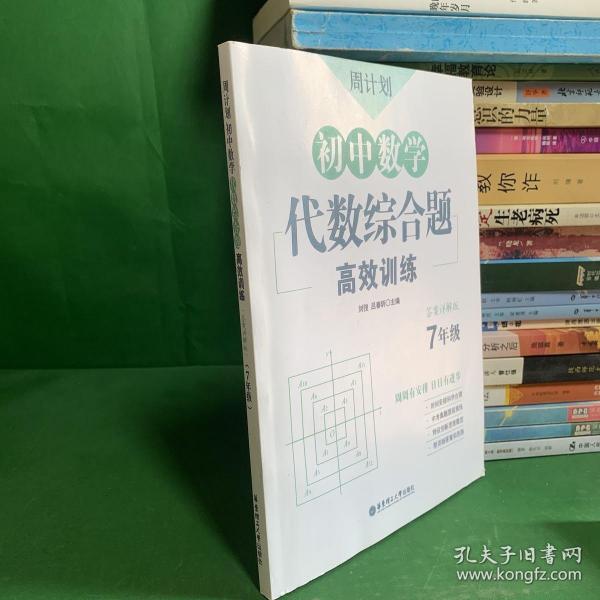 周计划：初中数学代数综合题高效训练（7年级）