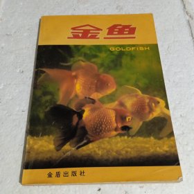 金鱼