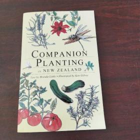 Companion Planting in New Zealand