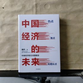 中国经济的未来：热点、难点和增长点（未拆塑封）