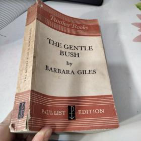 THE GENTLE BUSH by BARBARA GILES
