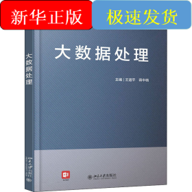 大數(shù)據(jù)處理