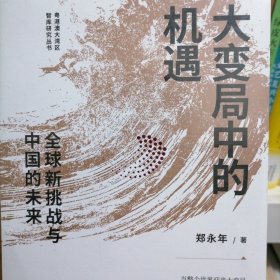 大变局中的机遇：全球新挑战与中国的未来郑永年著中信出版社