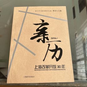 亲历—上海改革开放30年