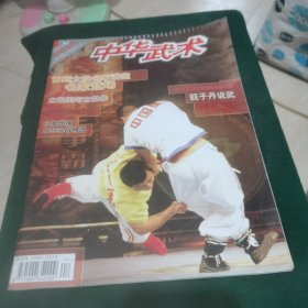 中华武术 2006.4