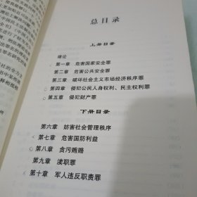 罪名指南（上下册）（全二册）