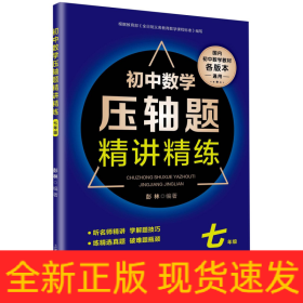 初中数学压轴题精讲精练(7年级国内初中数学教材各版本通用)