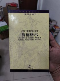海德格尔（世界思想家译丛）