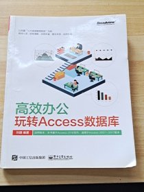 高效办公：玩转Access数据库