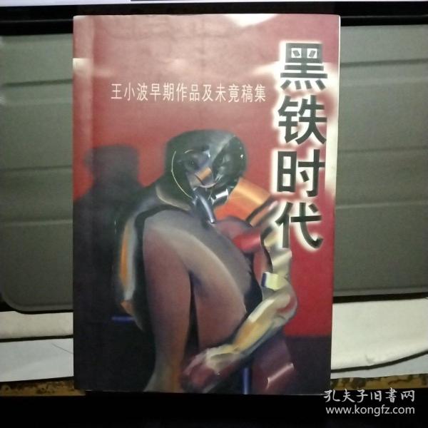 黑铁时代：王小波早期作品及未竟稿集