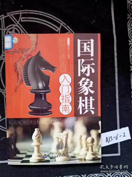 棋牌娱乐指南：国际象棋入门与提高