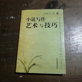 正版小说写作艺术与技巧蒋晓兰  著贵州民族出版社