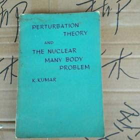 PERTURBATION  THEORY  AND  THE  NUCLEAR  MANY  BODY  PROBLEM微扰理论与核多体问题 英文