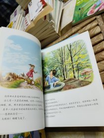 玛蒂娜故事书(共44册合售)