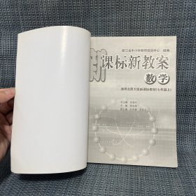 新课标新教案 数学 七年级 上（江南名师书系，适用北师大版新课标教材）