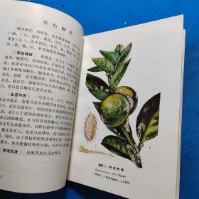 柑桔病虫图册
