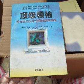 顶级领袖:世界级杰出企业家的战略谋断