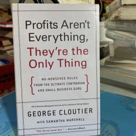 Profits Aren't Everything They're the Only Thing