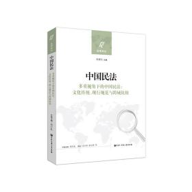 中国民法（多重视角下的中国民法：文化传统、现行规范与跨域比较）