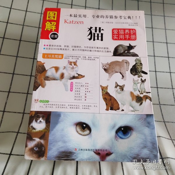 猫：爱猫养护实用手册